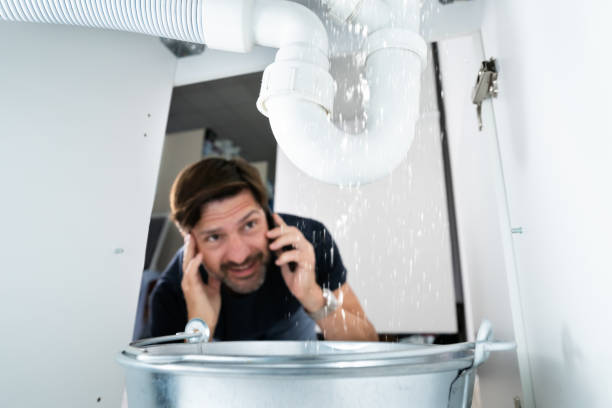 Best Leak Detection Services  in Clara City, MN
