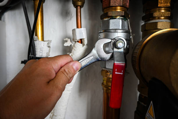 Best Commercial Plumbing Services  in Clara City, MN